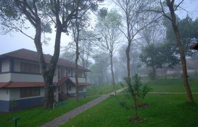 GreenWood Thekkadi